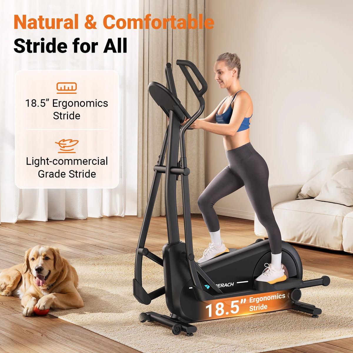 Magnetic Resistance Cross Trainer