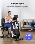 Recumbent Exercise Bike