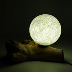 Driftwood Cotton Luna Ivory Shade  Lamp