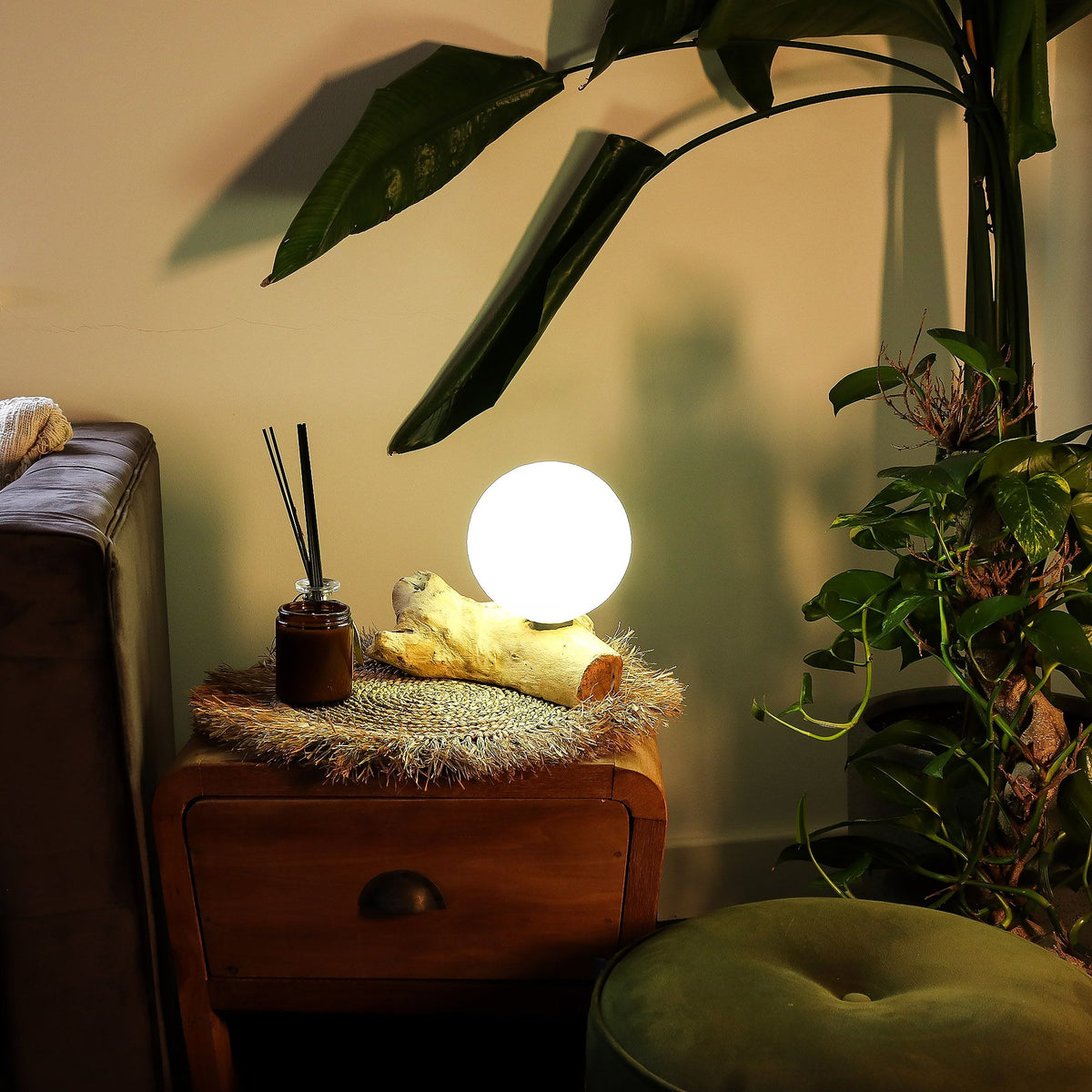 Driftwood Cotton Luna Ivory Shade  Lamp
