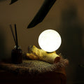 Driftwood Cotton Luna Ivory Shade  Lamp