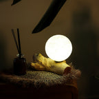 Driftwood Cotton Luna Ivory Shade  Lamp
