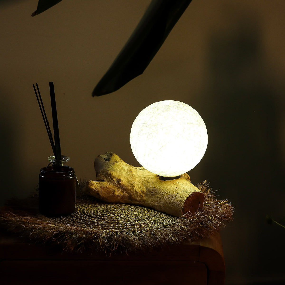 Driftwood Cotton Luna Ivory Shade  Lamp