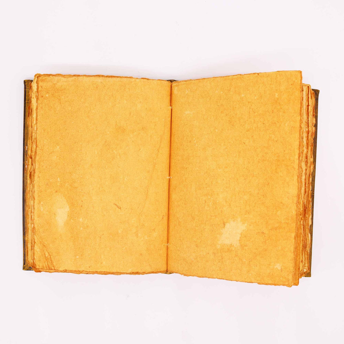 Wedding / Visitor Tan Book - Zinc Owl Decor - 200 Deckle Edges Pages - 26x18cm